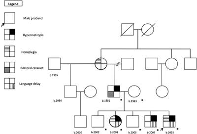 p.Gly743Val Mutation in COL4A1 Is Responsible for Familial Porencephaly and Severe Hypermetropia